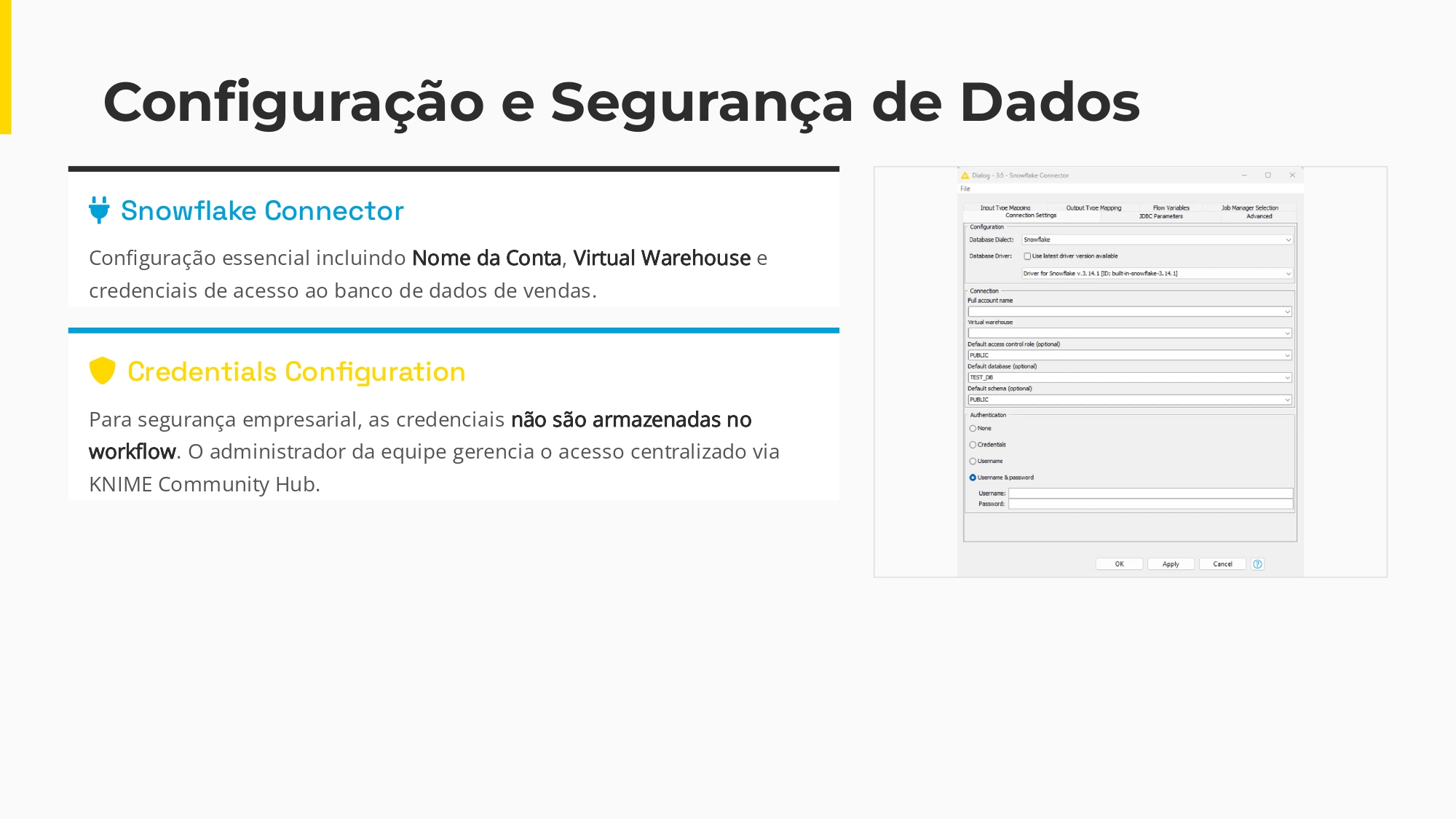 Acesse dados do Snowflake facilmente 2